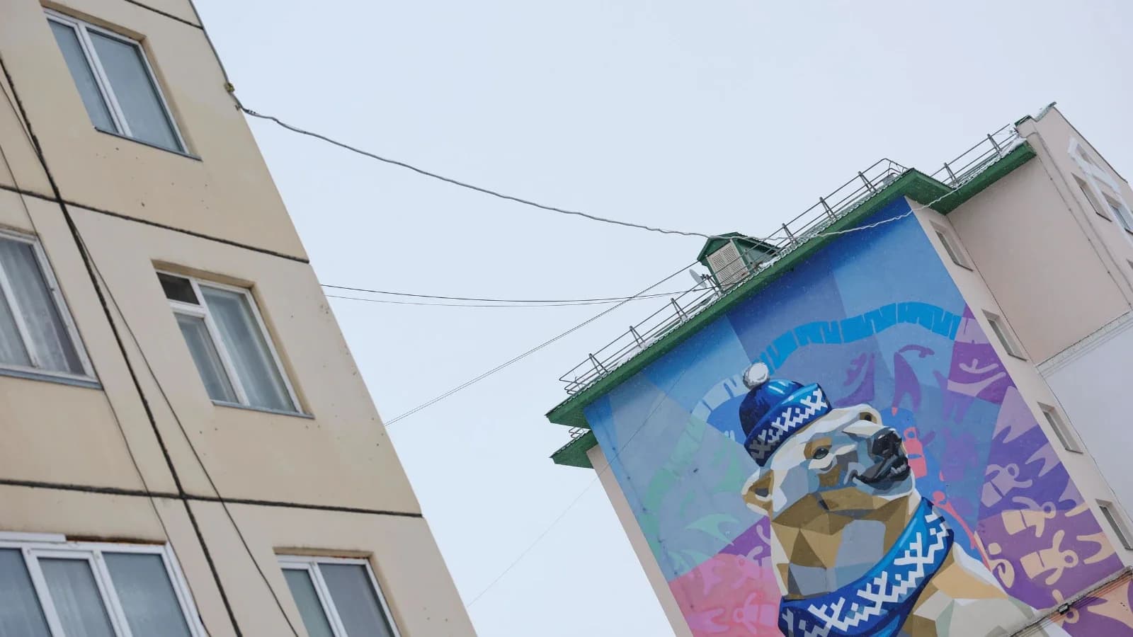 Петербургский художник украсил Новый Порт пятью муралами к юбилею