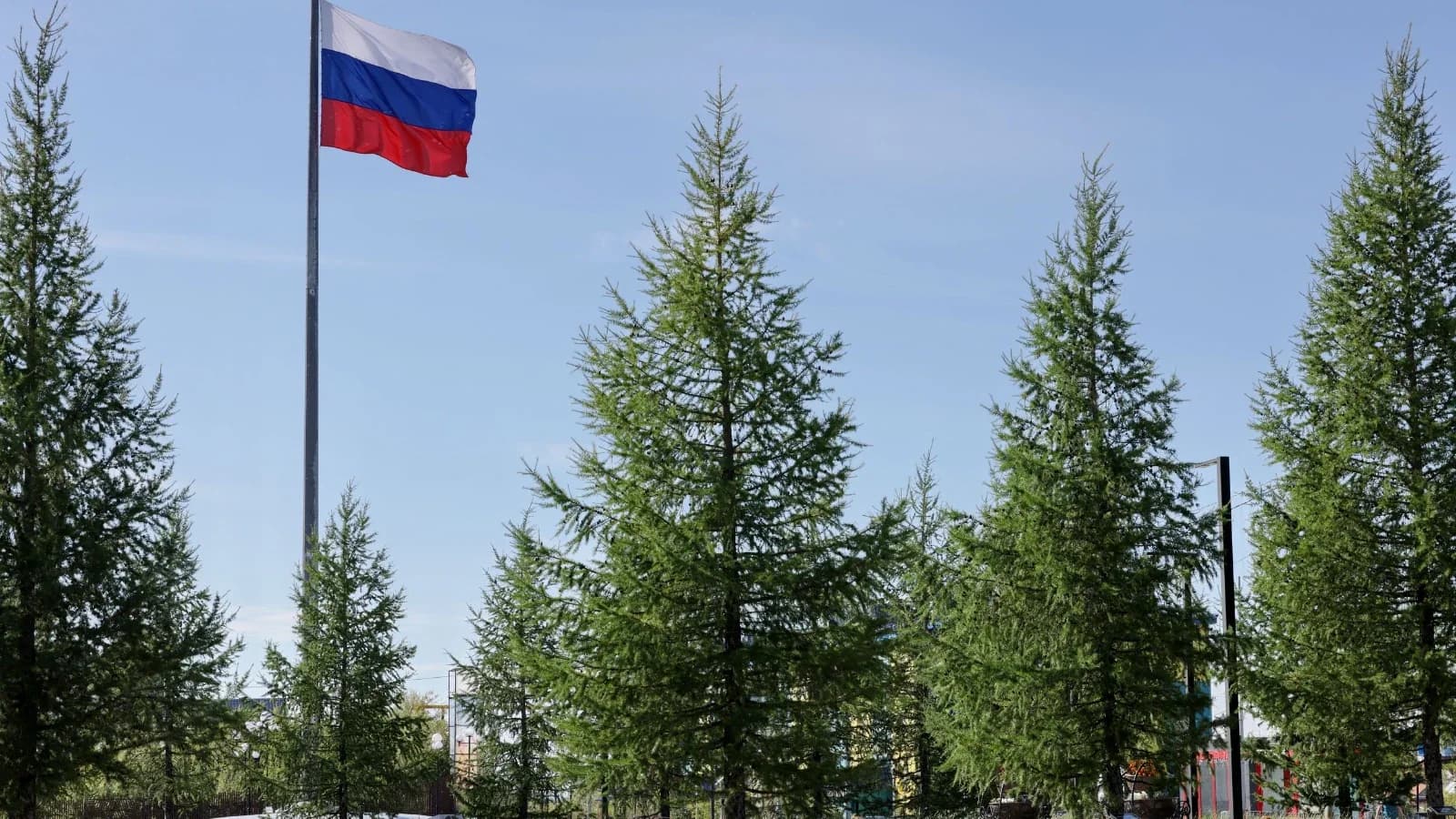 В Ямальском районе высадили ели в память о героях войны