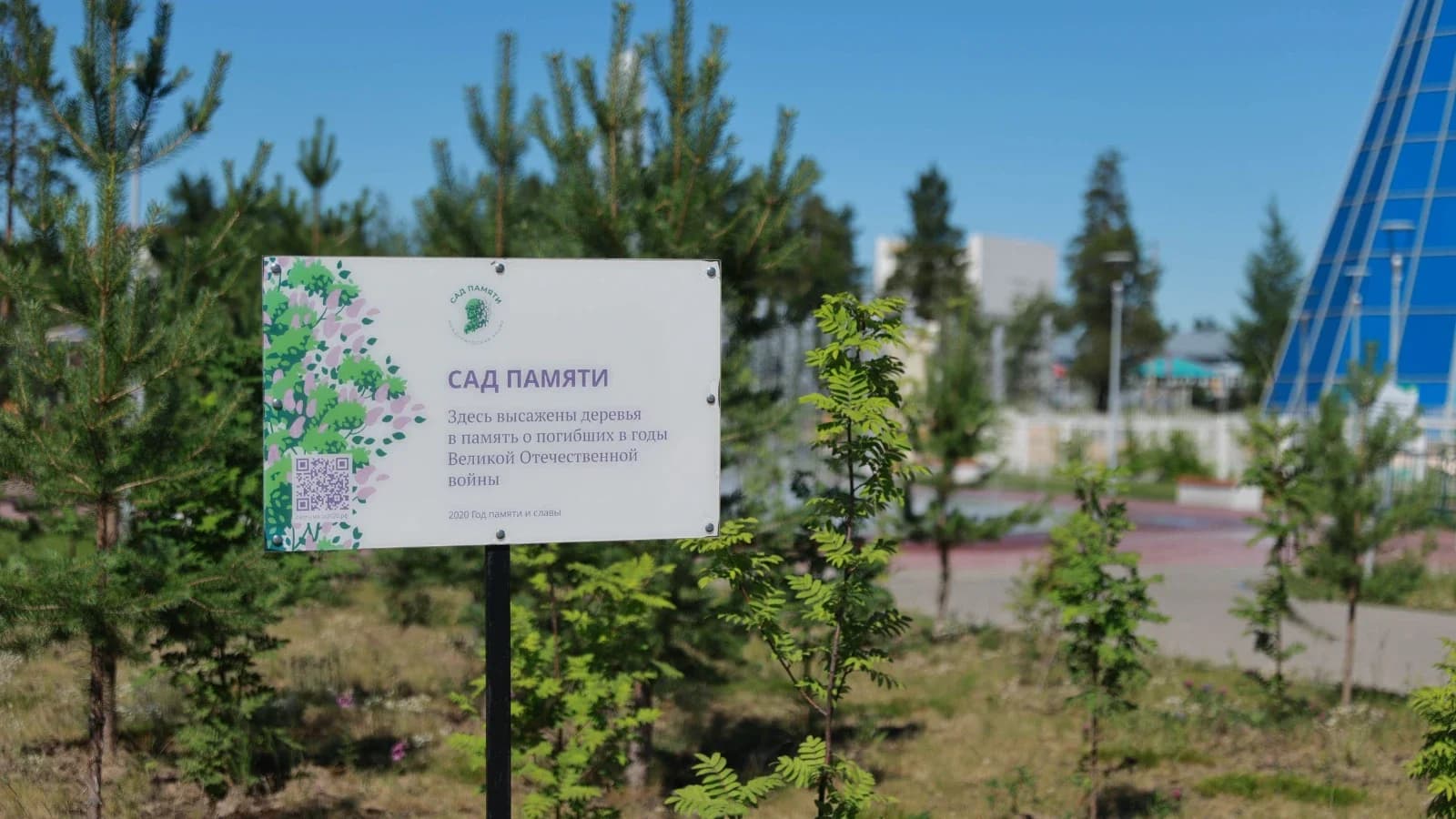 В Яр-Сале высадили деревья в рамках акции «Сад памяти»